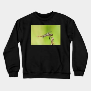 The Dragon Crewneck Sweatshirt